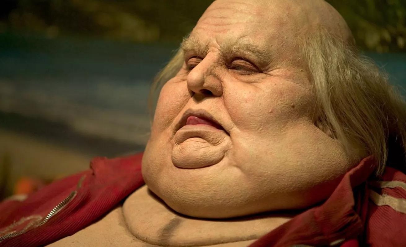 Galería de Taxidermia 10/02/2015