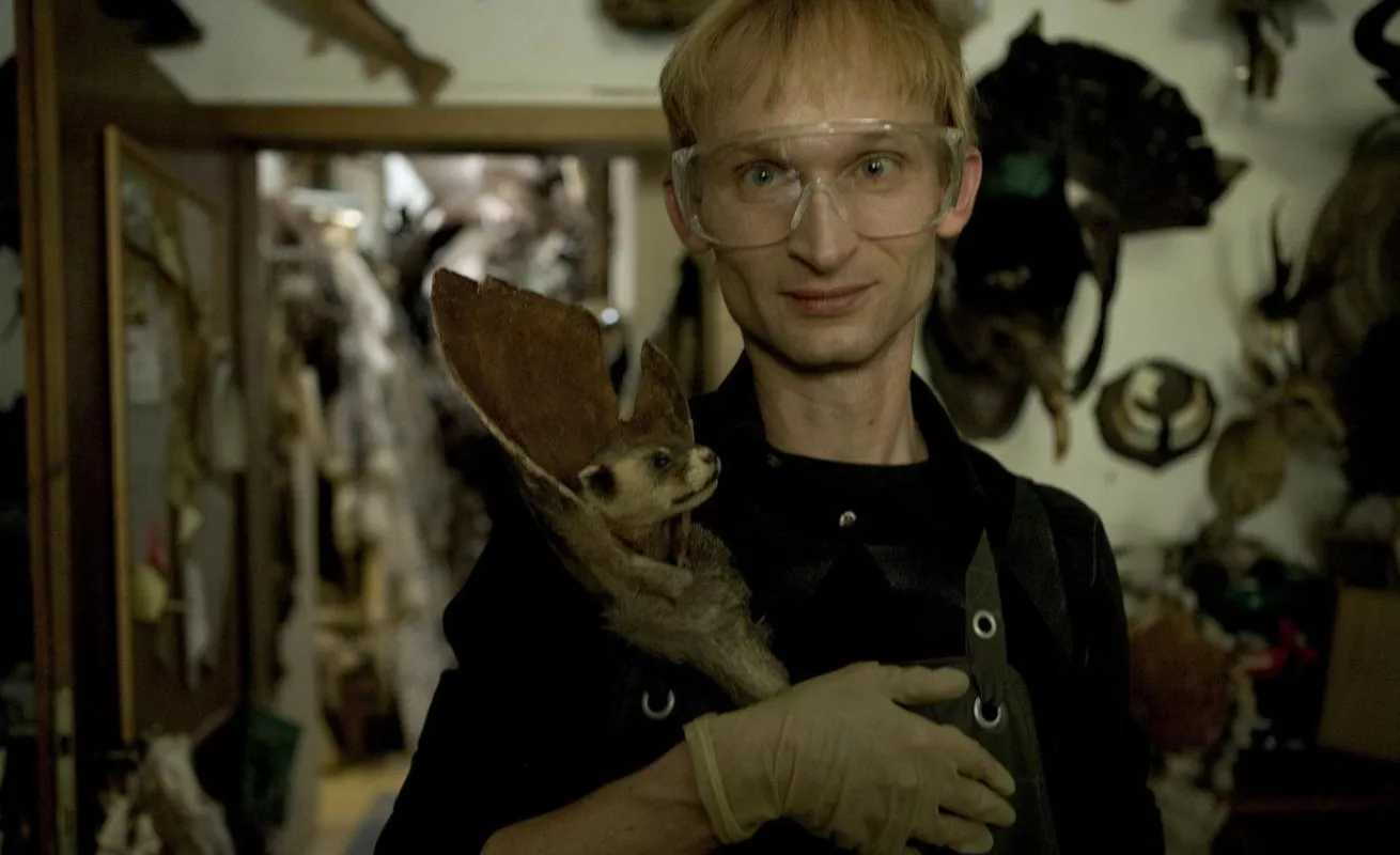 Galería de Taxidermia 10/02/2015