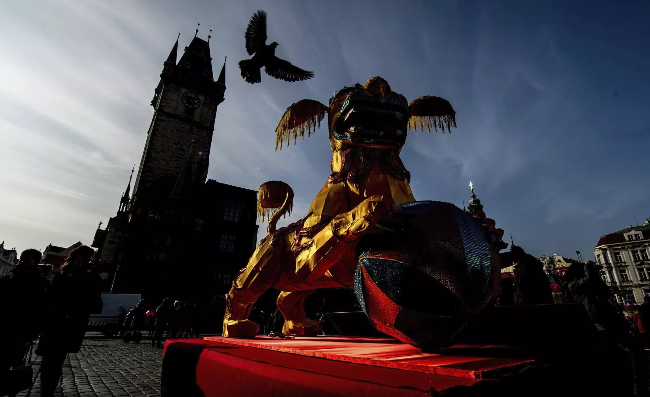 Galería de fotos 19/02/2014