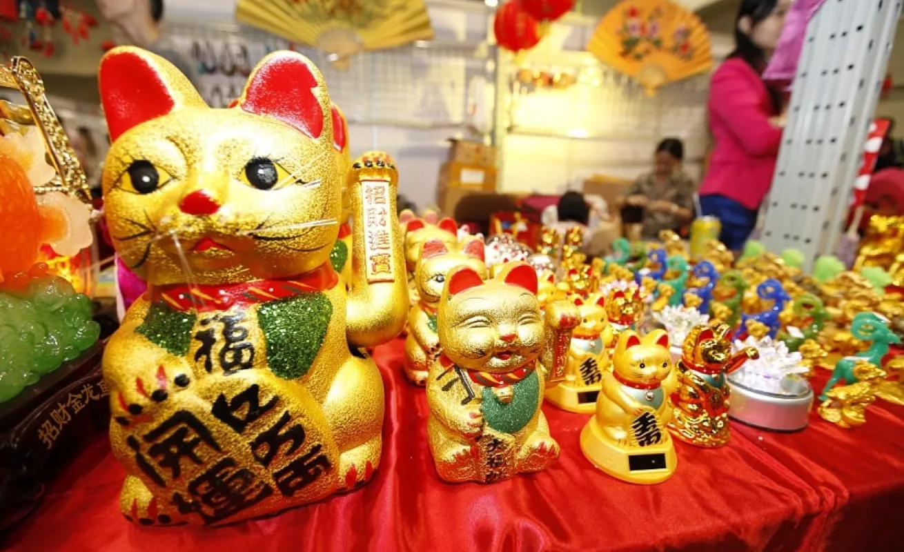 Galería de fotos 19/02/2014