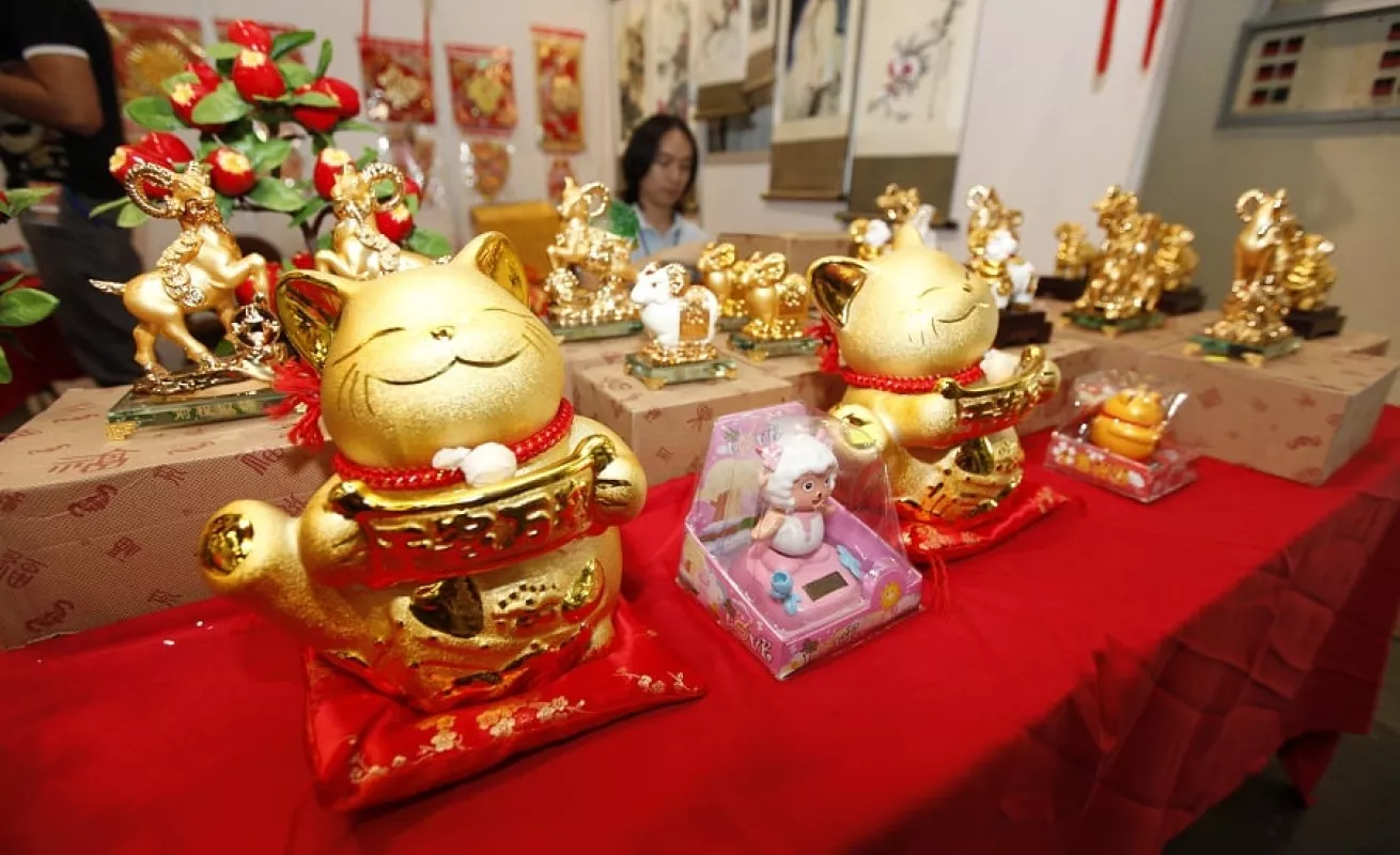 Galería de fotos 19/02/2014