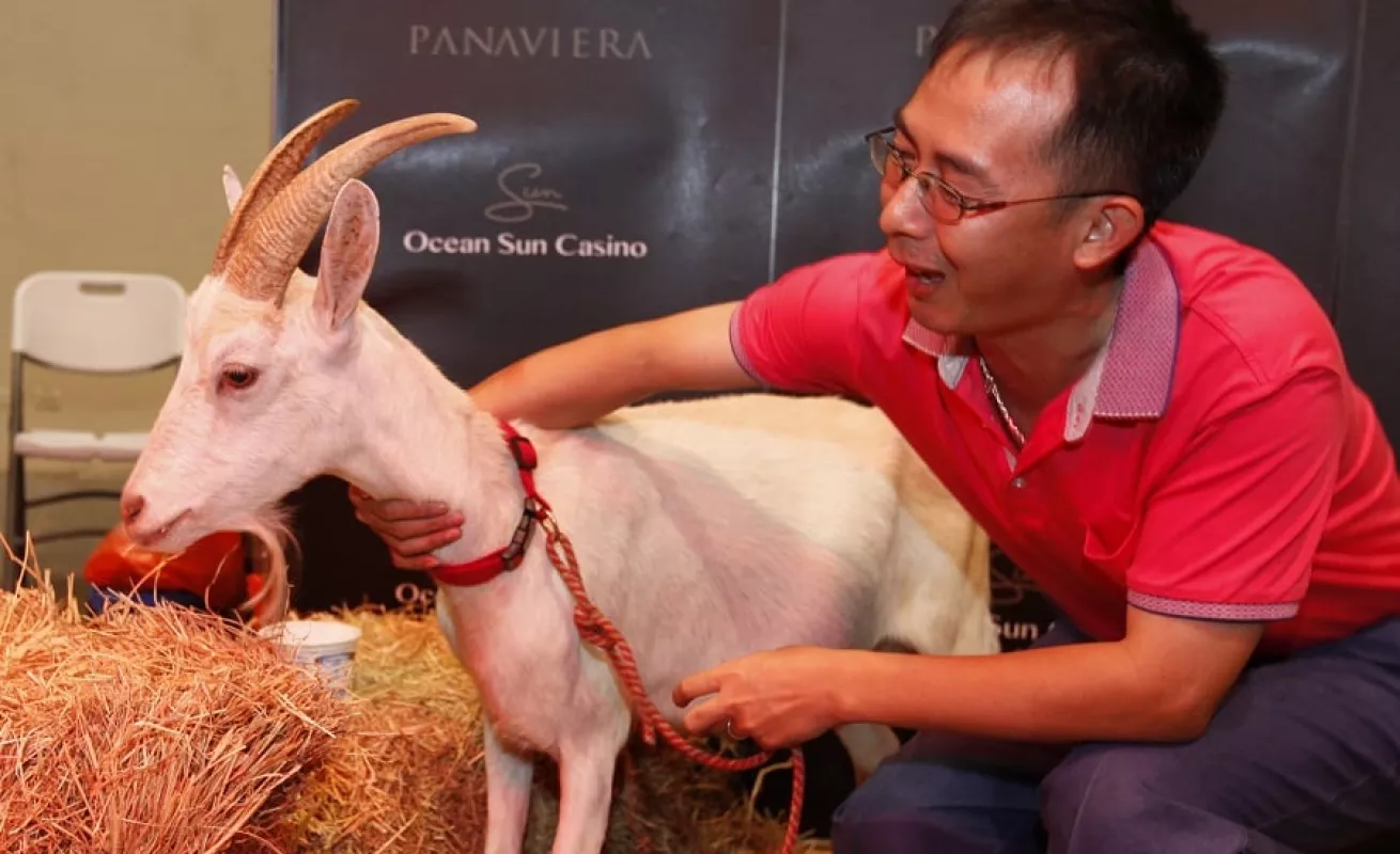 Galería de fotos 19/02/2014