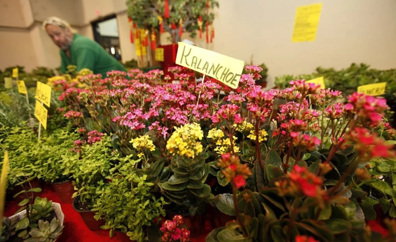 Galería de fotos 19/02/2014