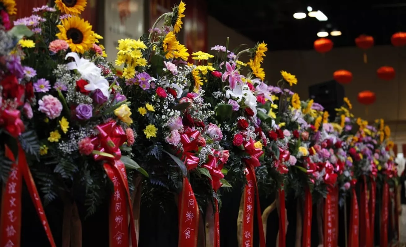 Galería de fotos 19/02/2014