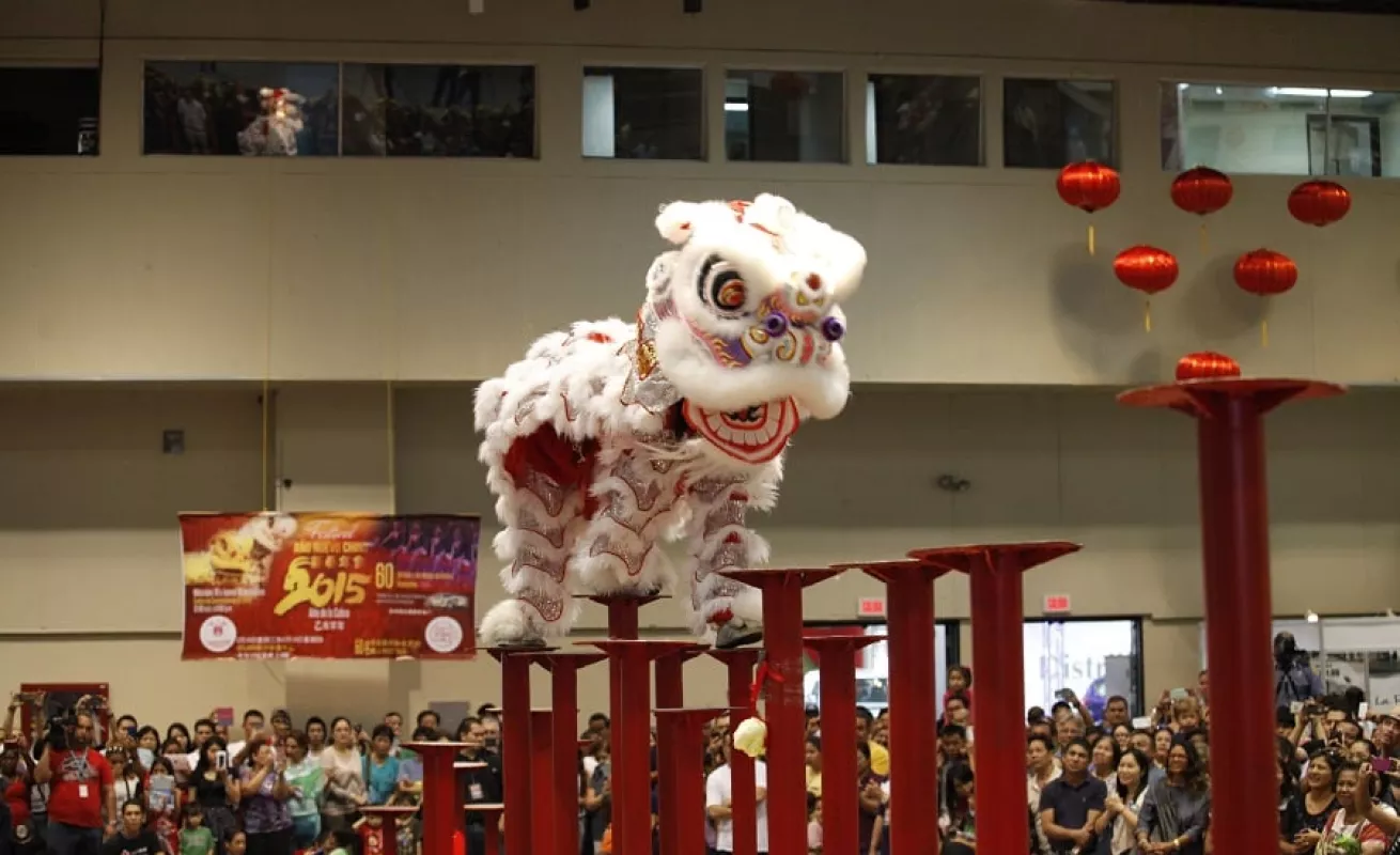 Galería de fotos 19/02/2014