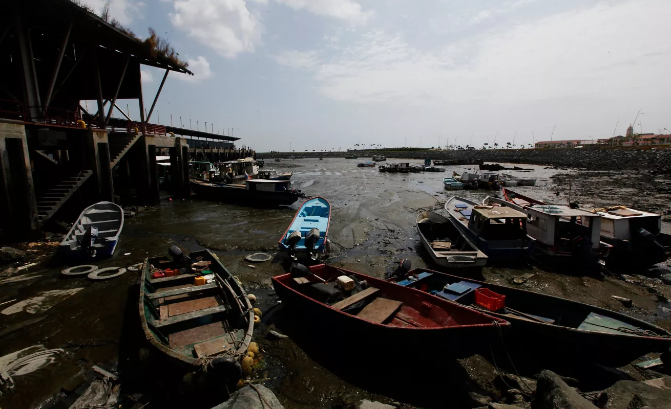 Panamá: jungla de concreto y arte
