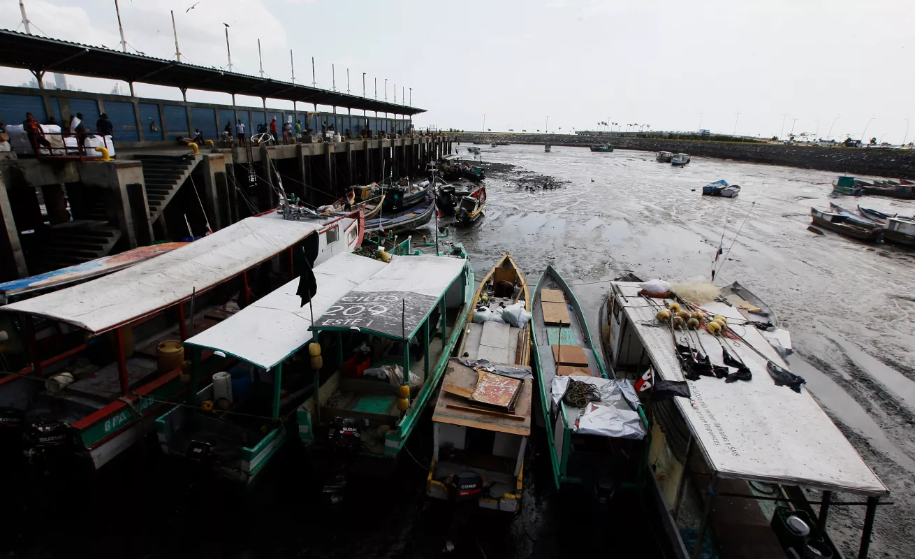 Panamá: jungla de concreto y arte