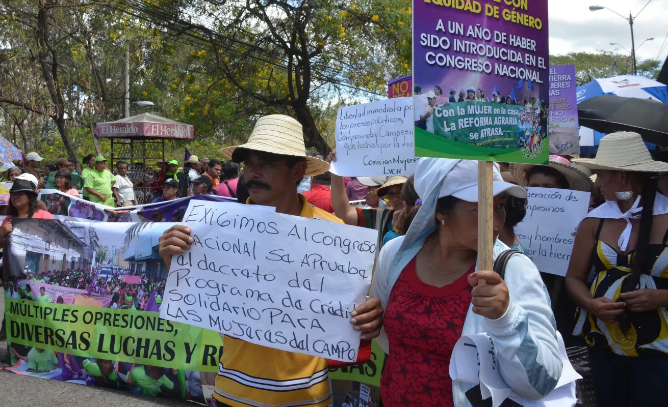 Galería de fotos 08/03/2015