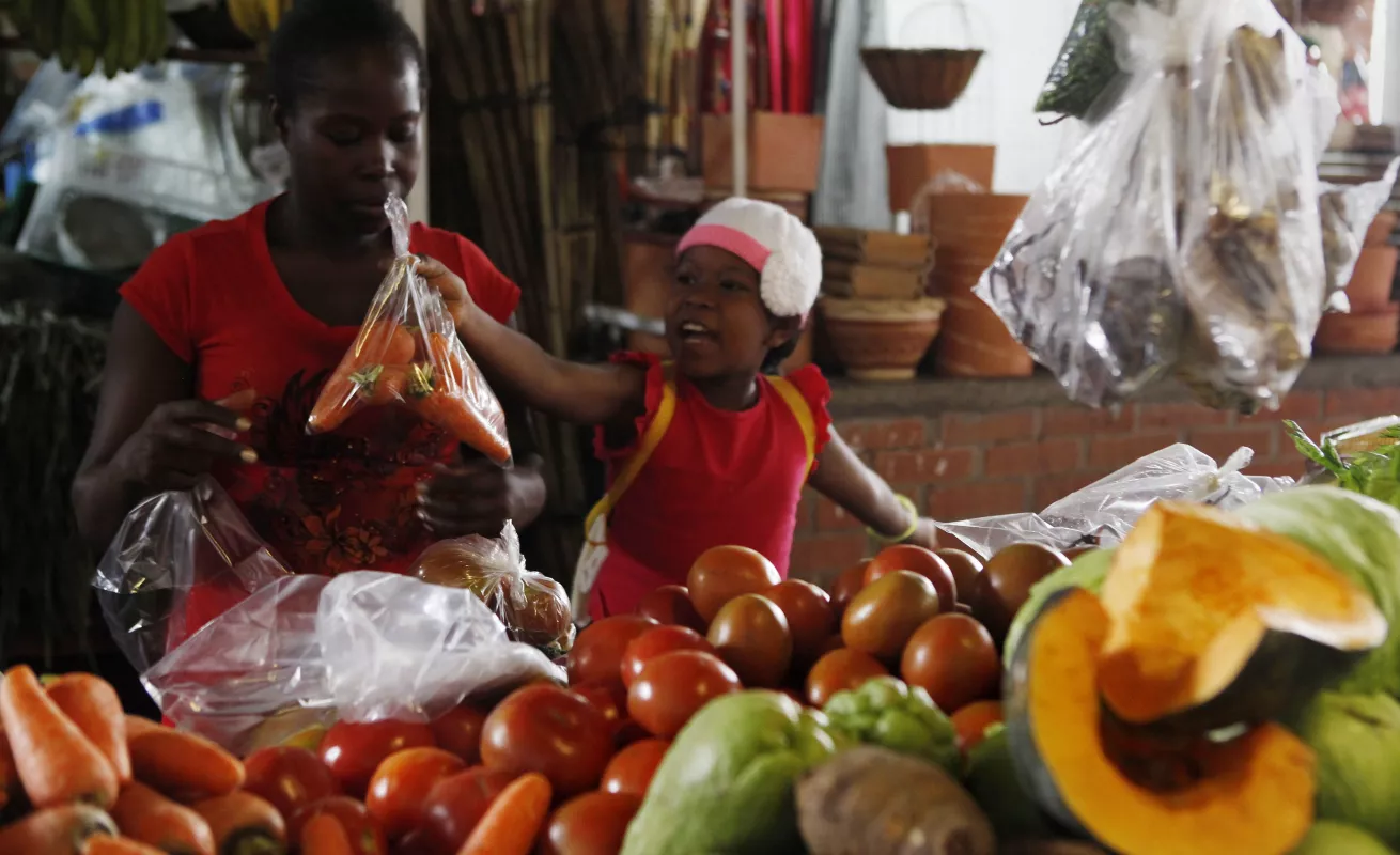 Galería de fotos 08/03/2015