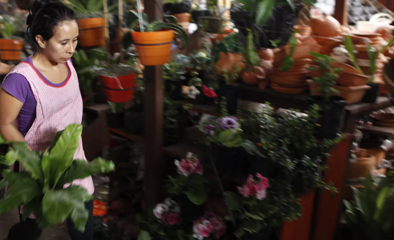 Galería de fotos 08/03/2015