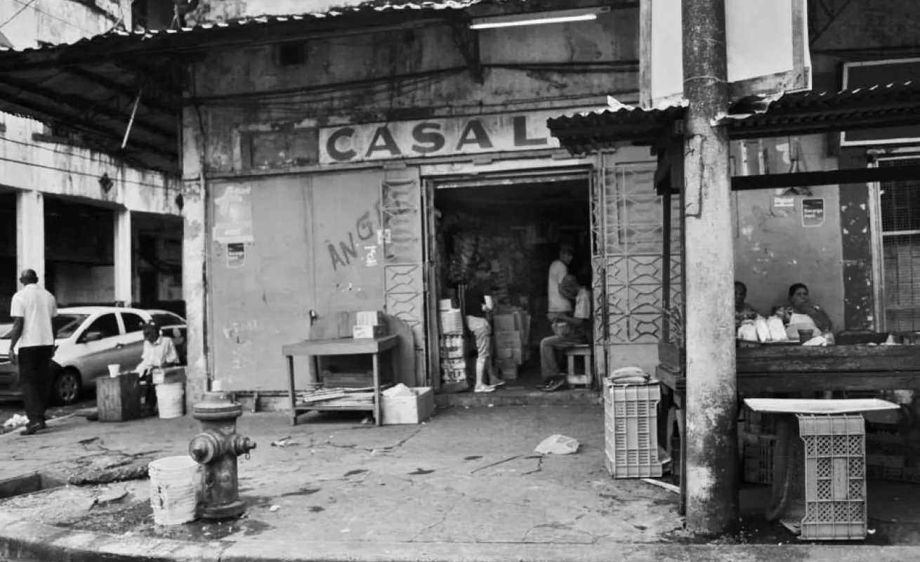 Galería de fotos 10/03/2015