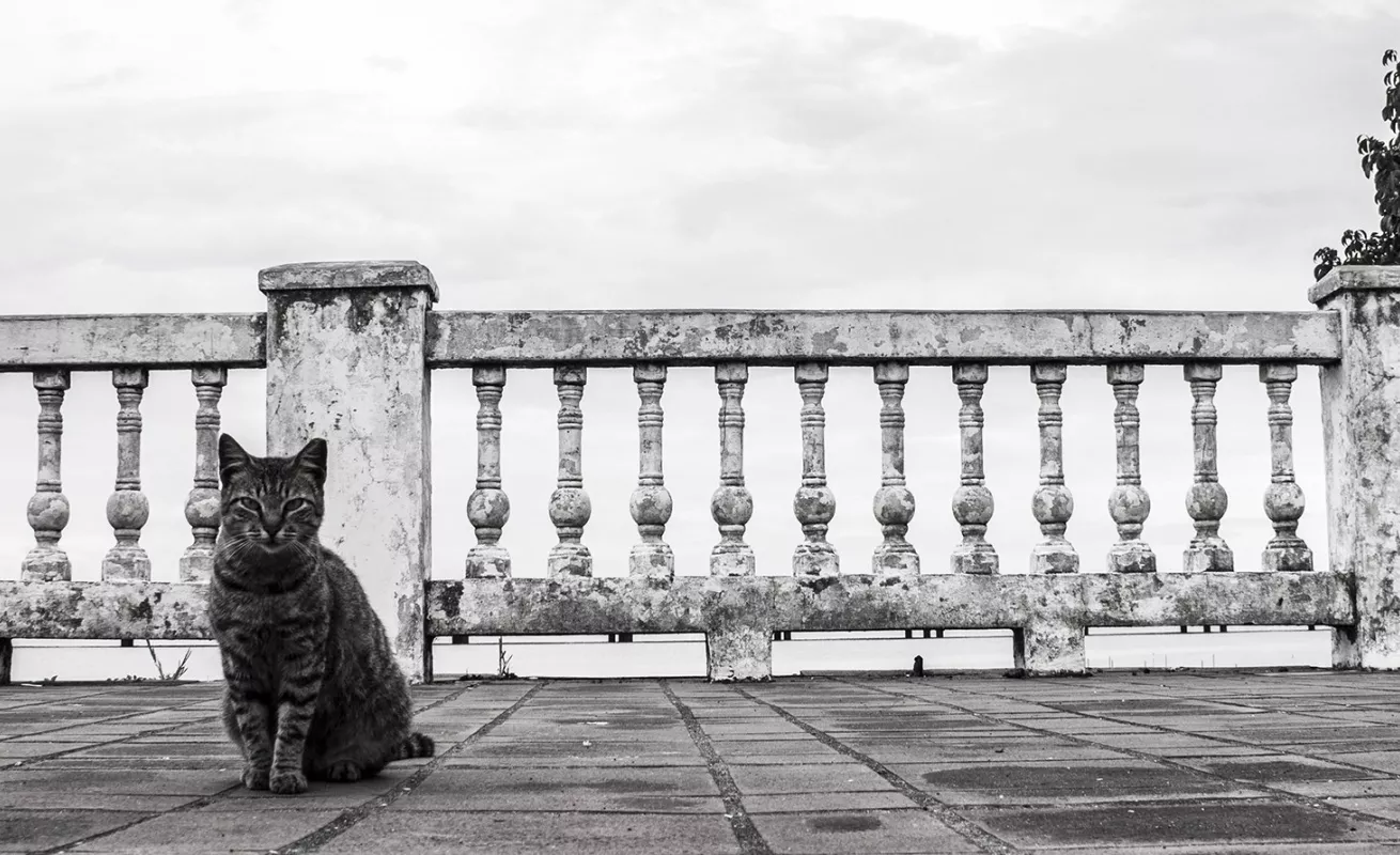 Panamá: La visión de un peruano... 