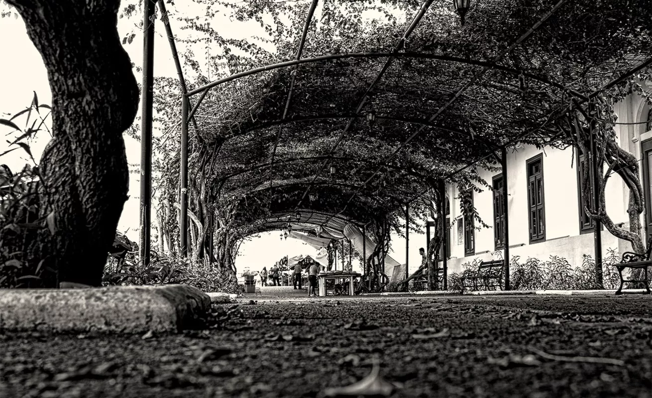 Panamá: La visión de un peruano... 