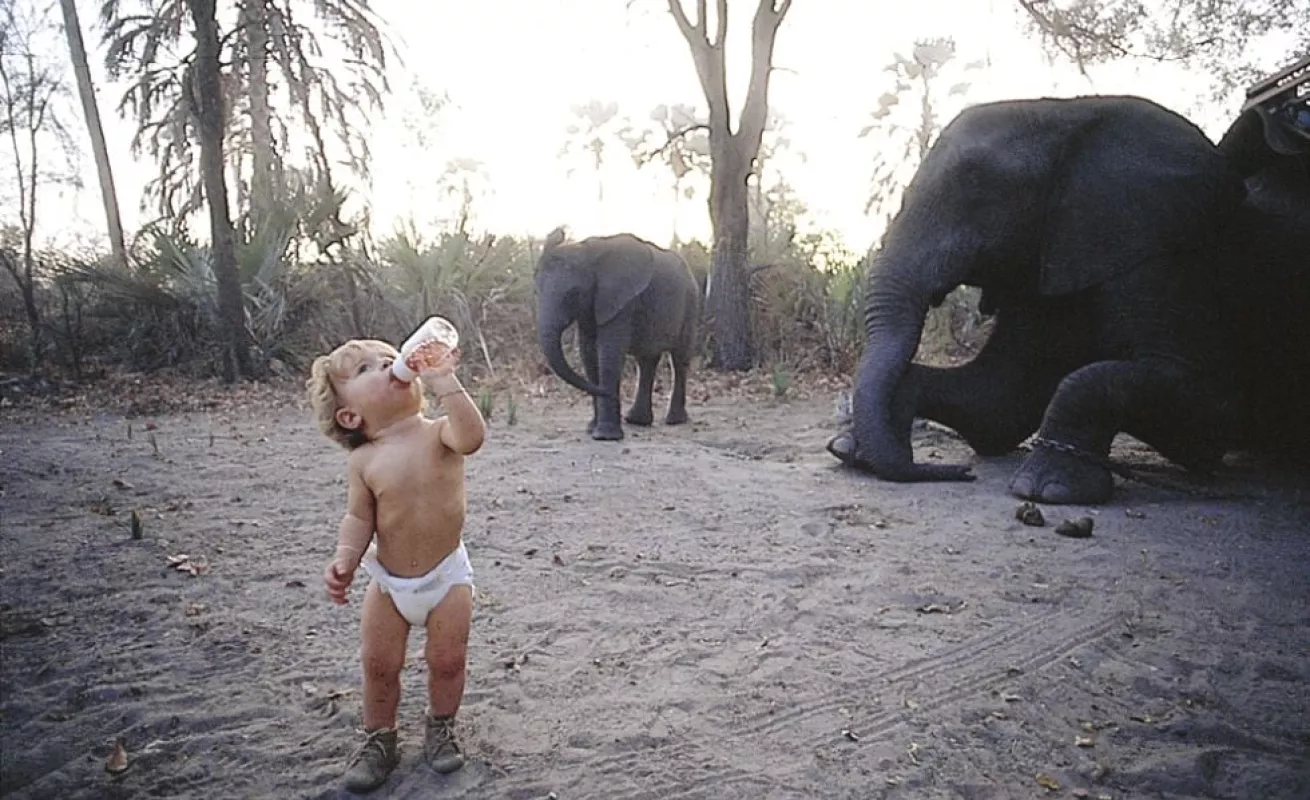La historia de Tippi, la niña de la selva, que sigue fascinándonos 20 años después...
