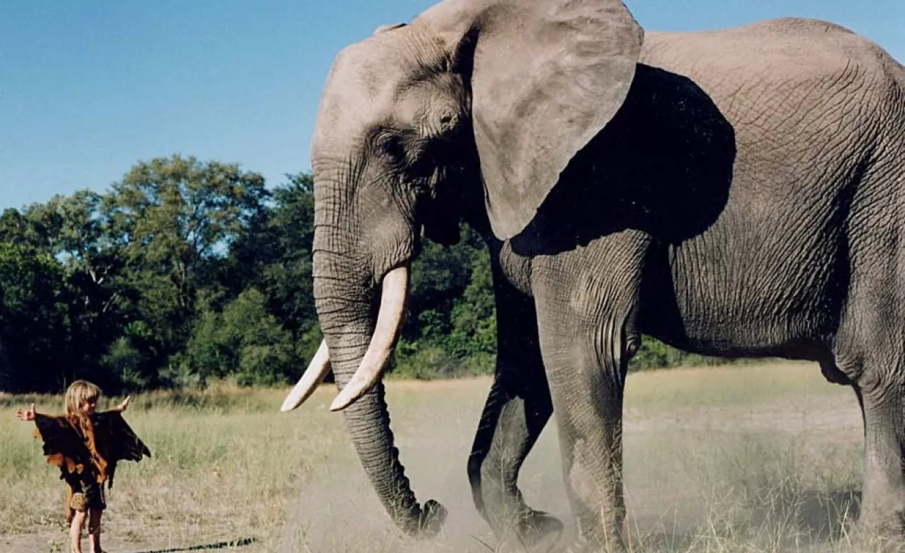 La historia de Tippi, la niña de la selva, que sigue fascinándonos 20 años después...