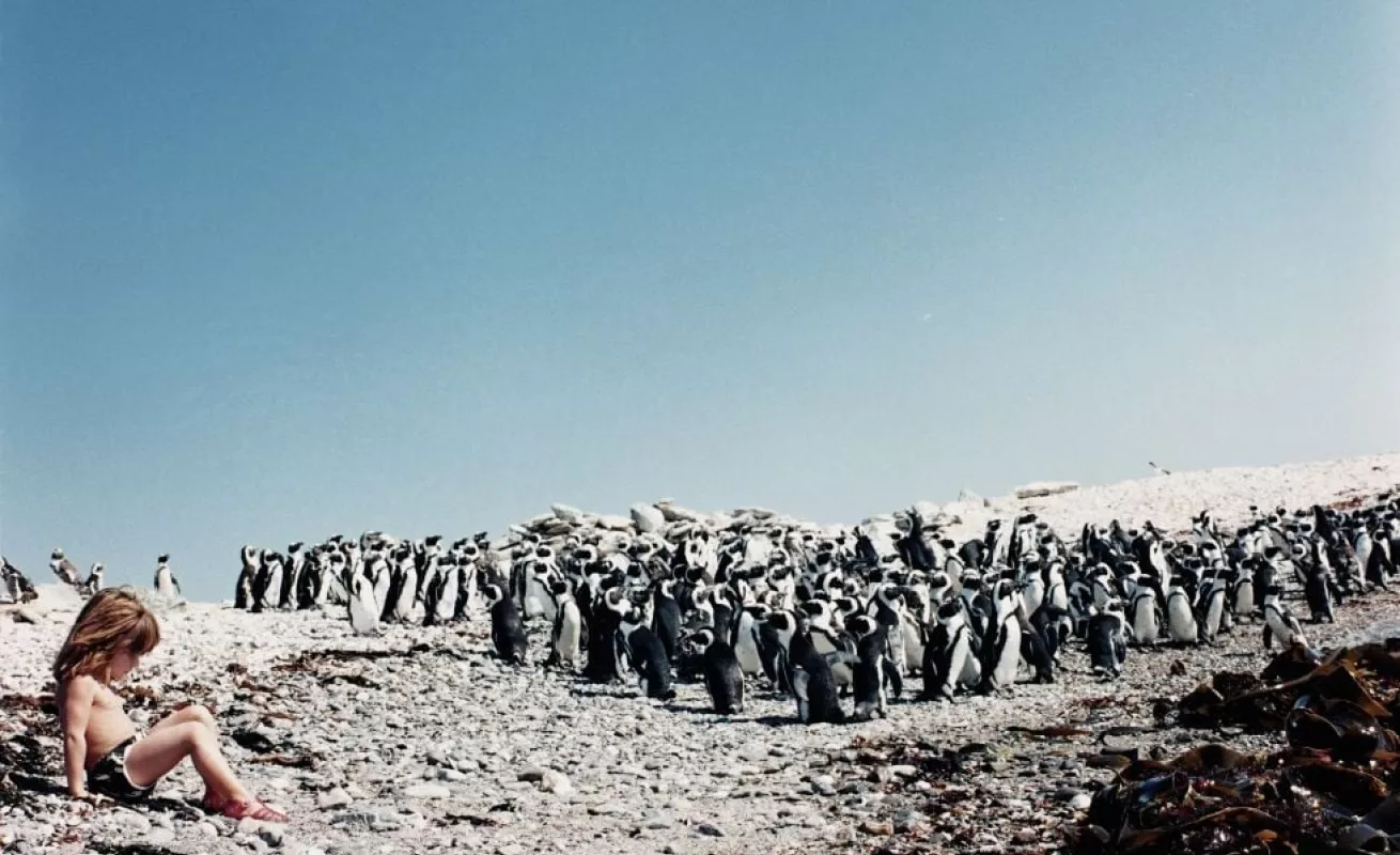 La historia de Tippi, la niña de la selva, que sigue fascinándonos 20 años después...