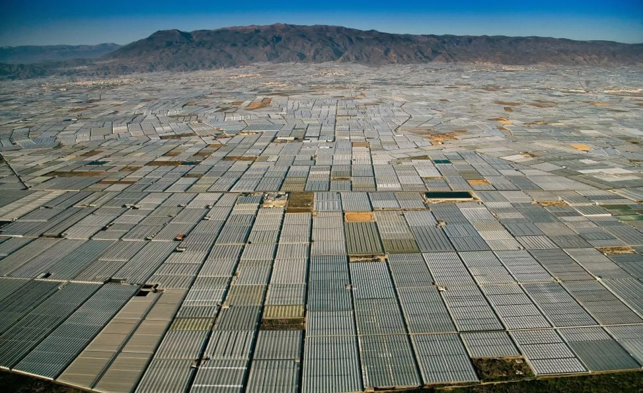 Demasiados humanos para este planeta 