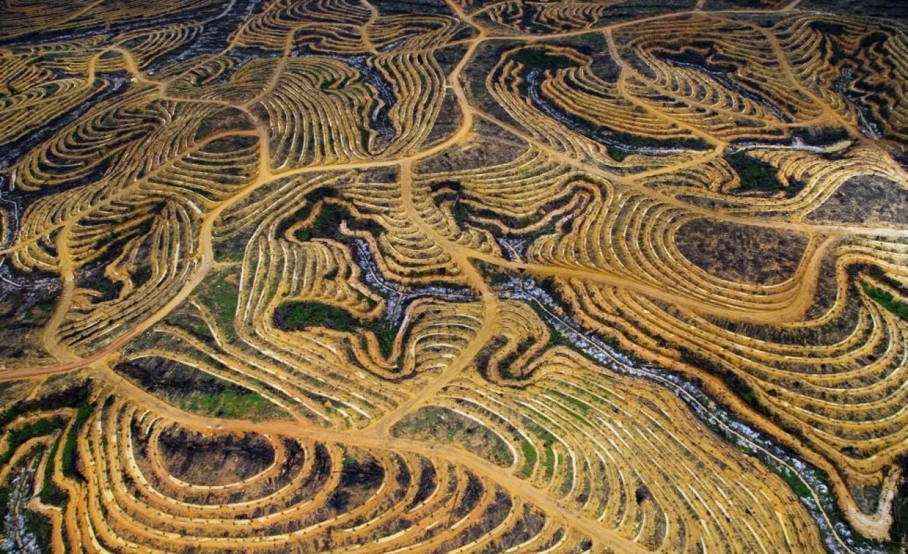 Demasiados humanos para este planeta 