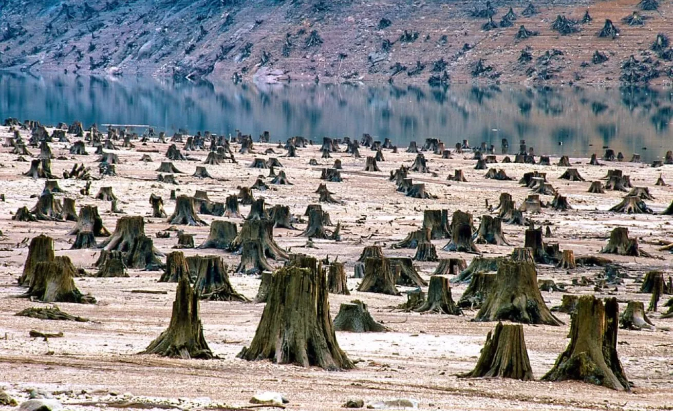 Demasiados humanos para este planeta 