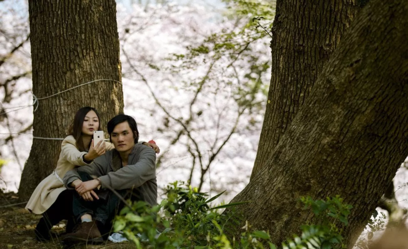 Los cerezos florecen en Japón