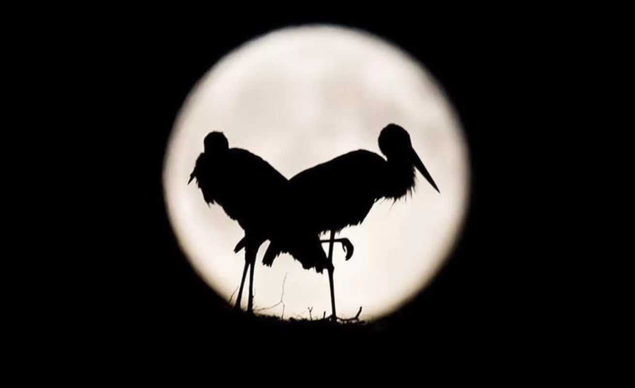 El mundo en un click