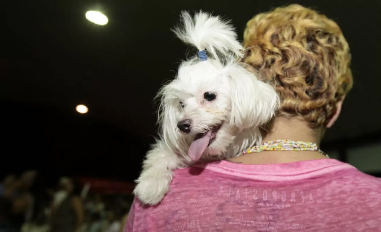 Luna llena de tambores