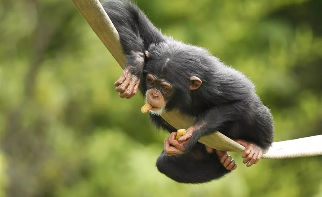 El mundo en un click