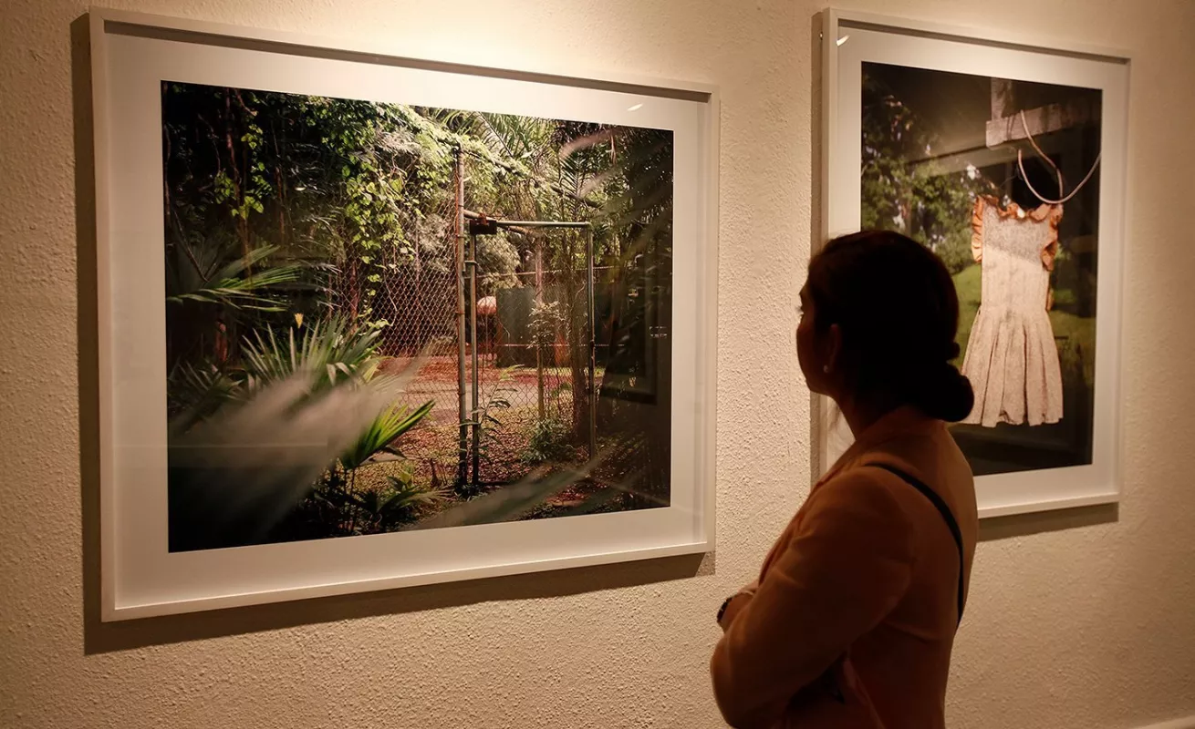 Expresión Furtiva: Artistas emergentes y arte skateboarding