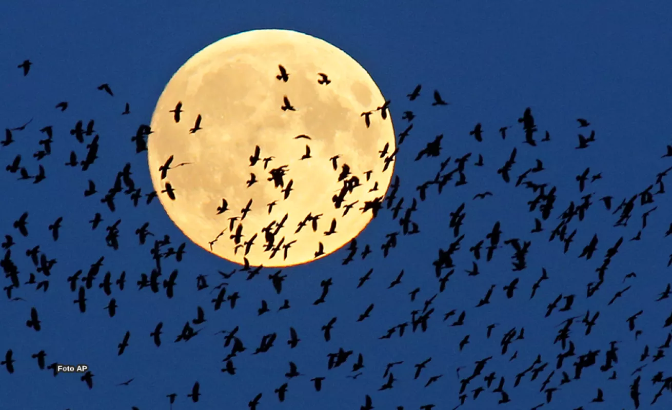 Súper luna de sangre