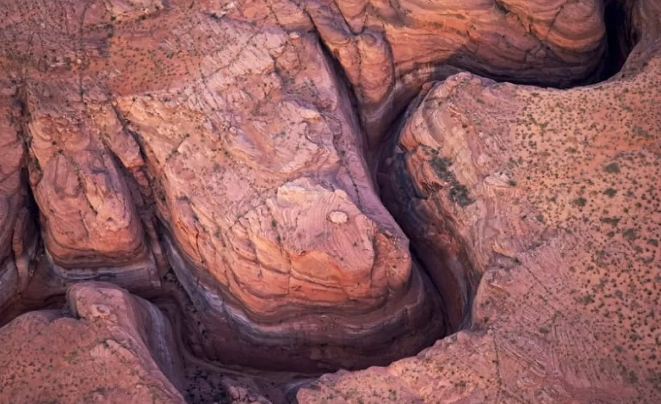 Rick Wilking y la Sequía de Arizona