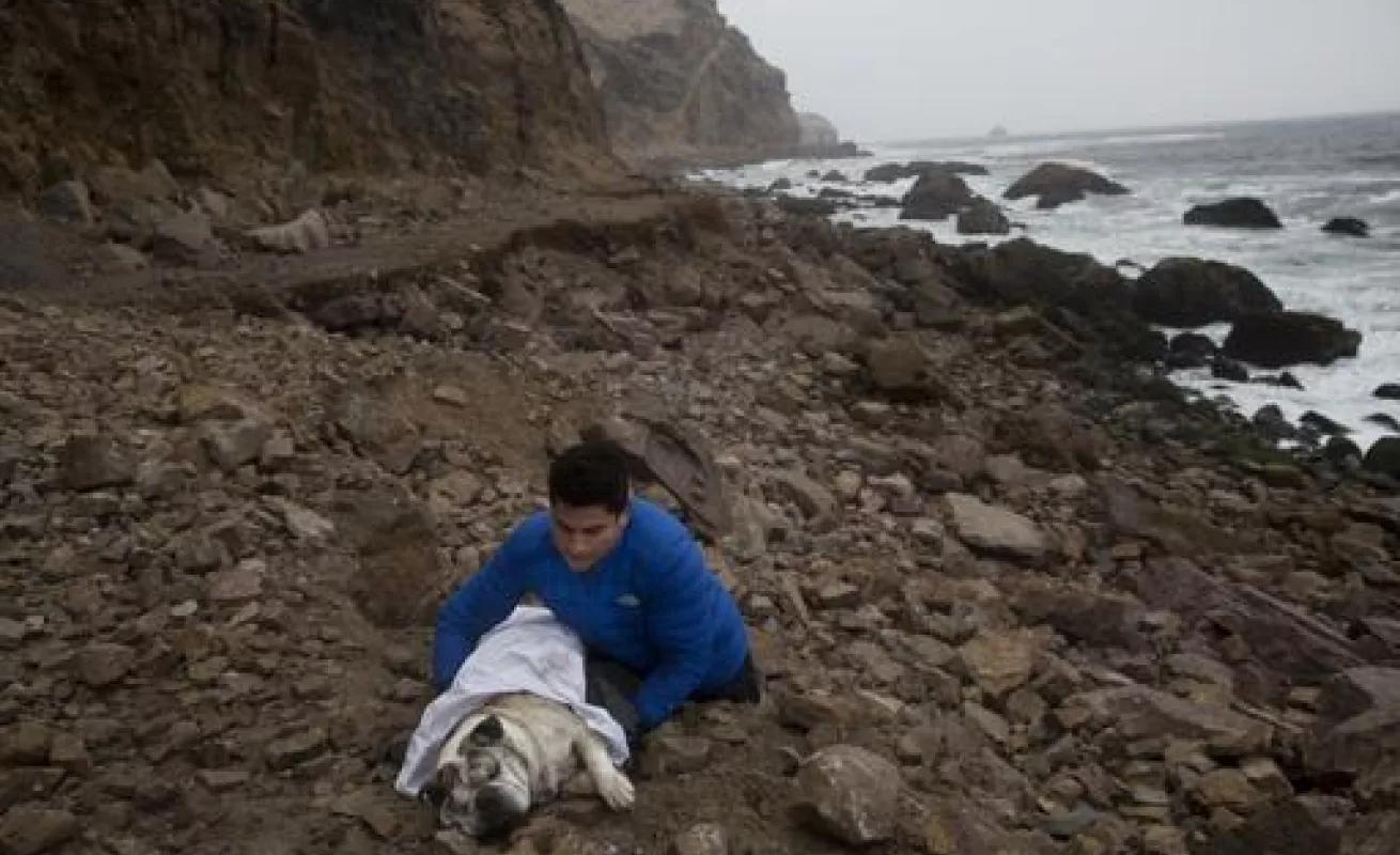 Las mejores del 2015