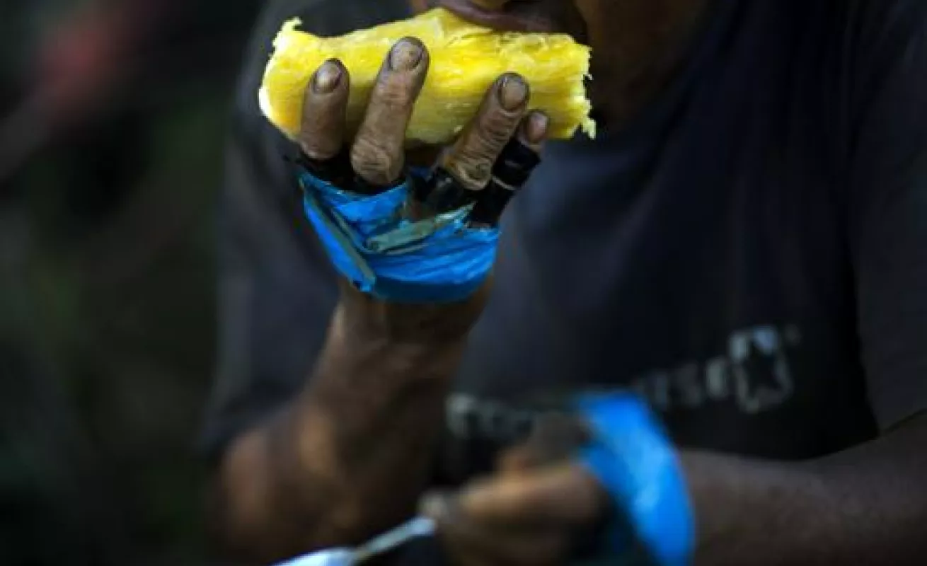 Las mejores del 2015