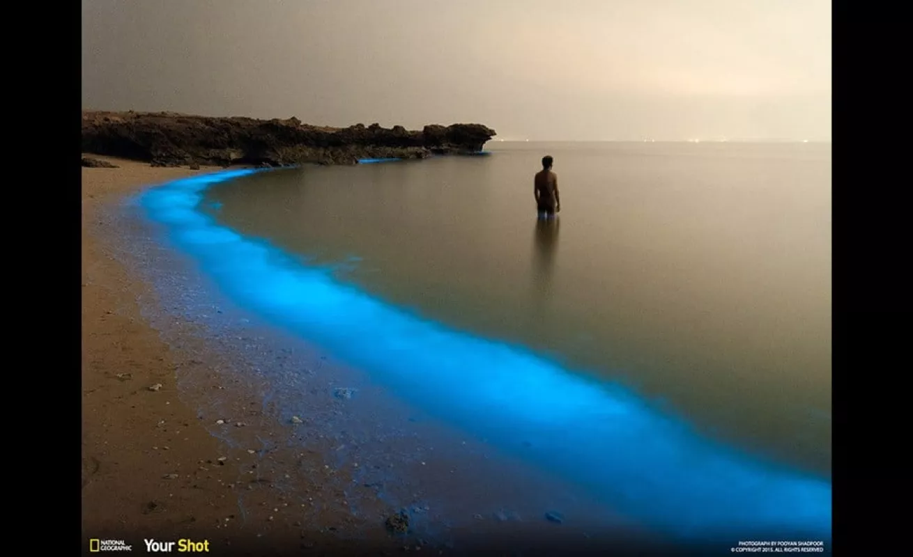 Las mejores del 2015