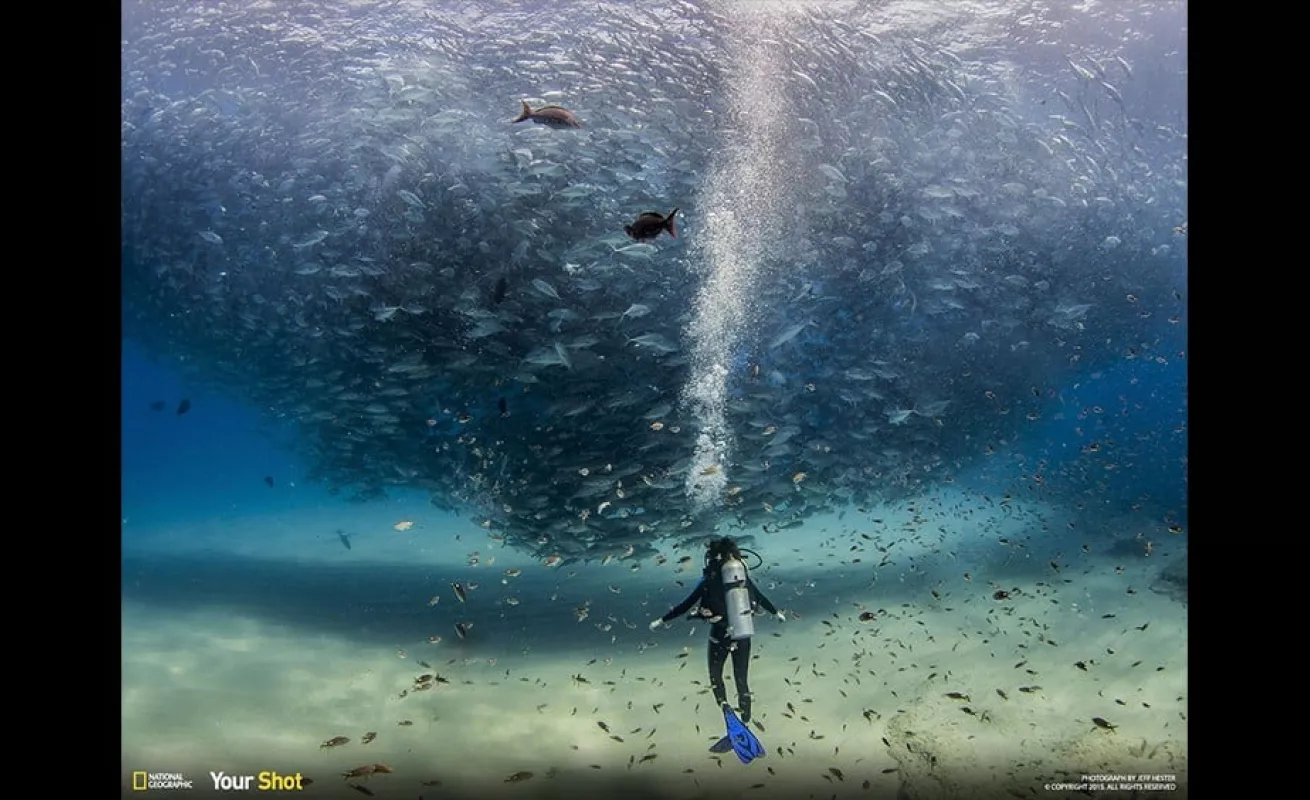 Las mejores del 2015