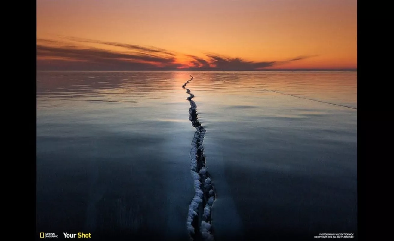 Las mejores del 2015