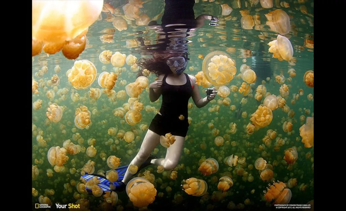 Las mejores del 2015