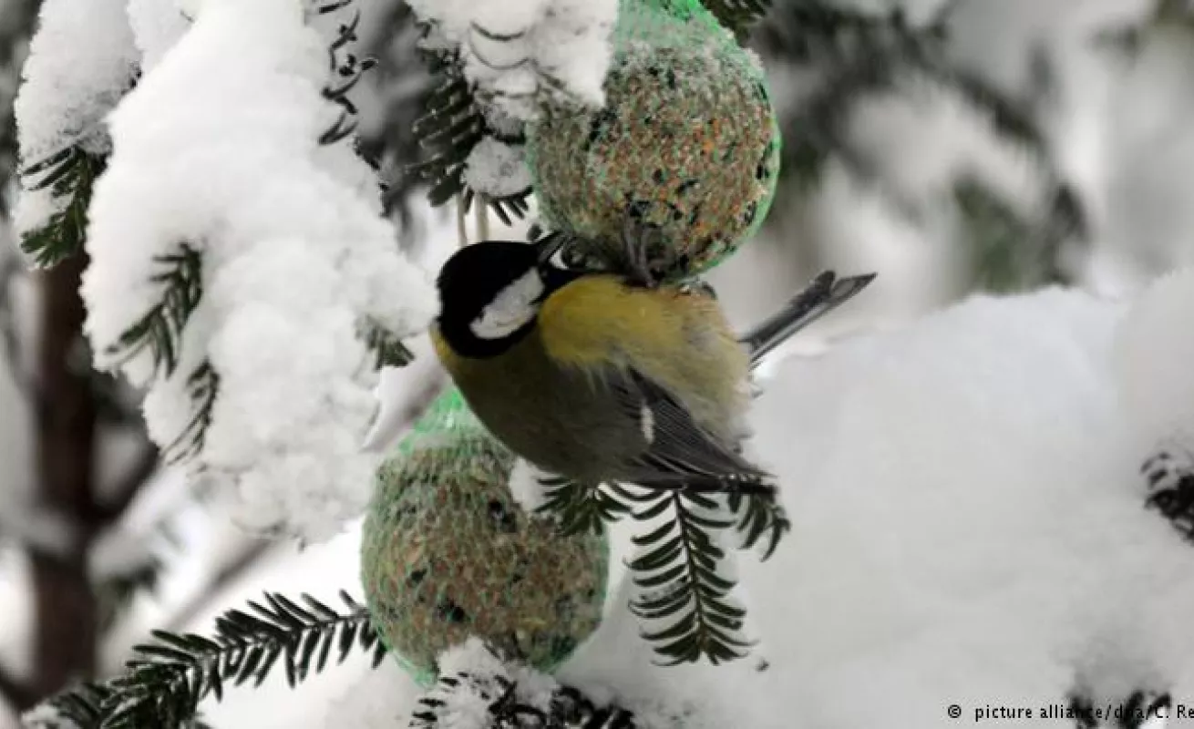 Invierno en Alemania 