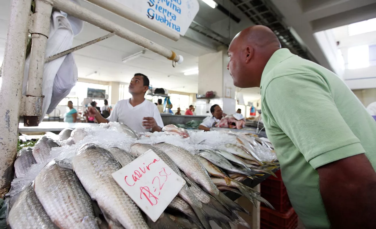 Mercado de Mariscos, epicentro de frescas especies marinas...