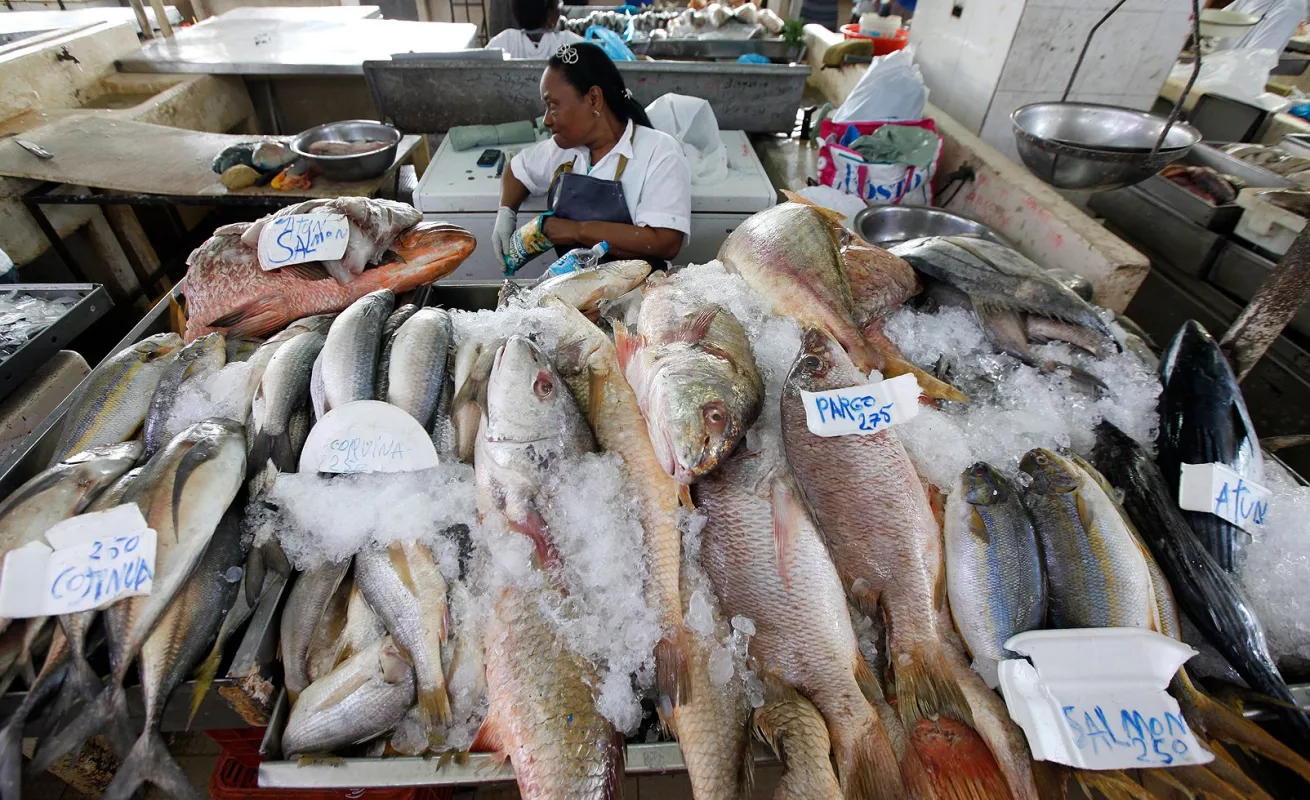 Mercado de Mariscos, epicentro de frescas especies marinas...