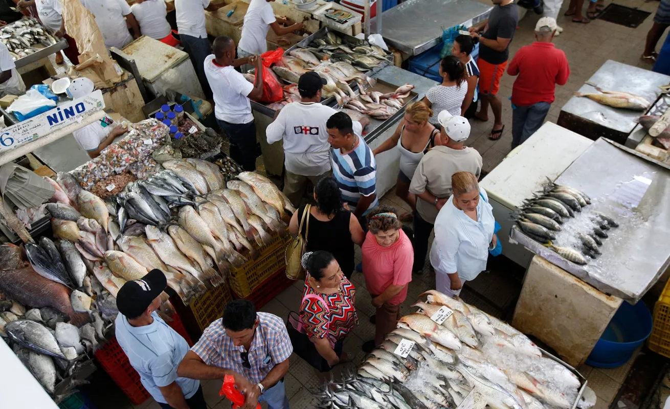 Mercado de Mariscos, epicentro de frescas especies marinas...