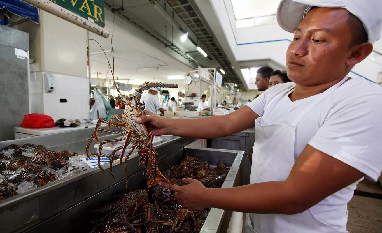 Mercado de Mariscos, epicentro de frescas especies marinas...