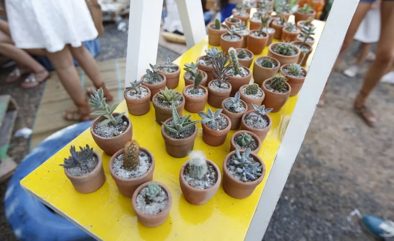 Mercado Paseo Urbano 