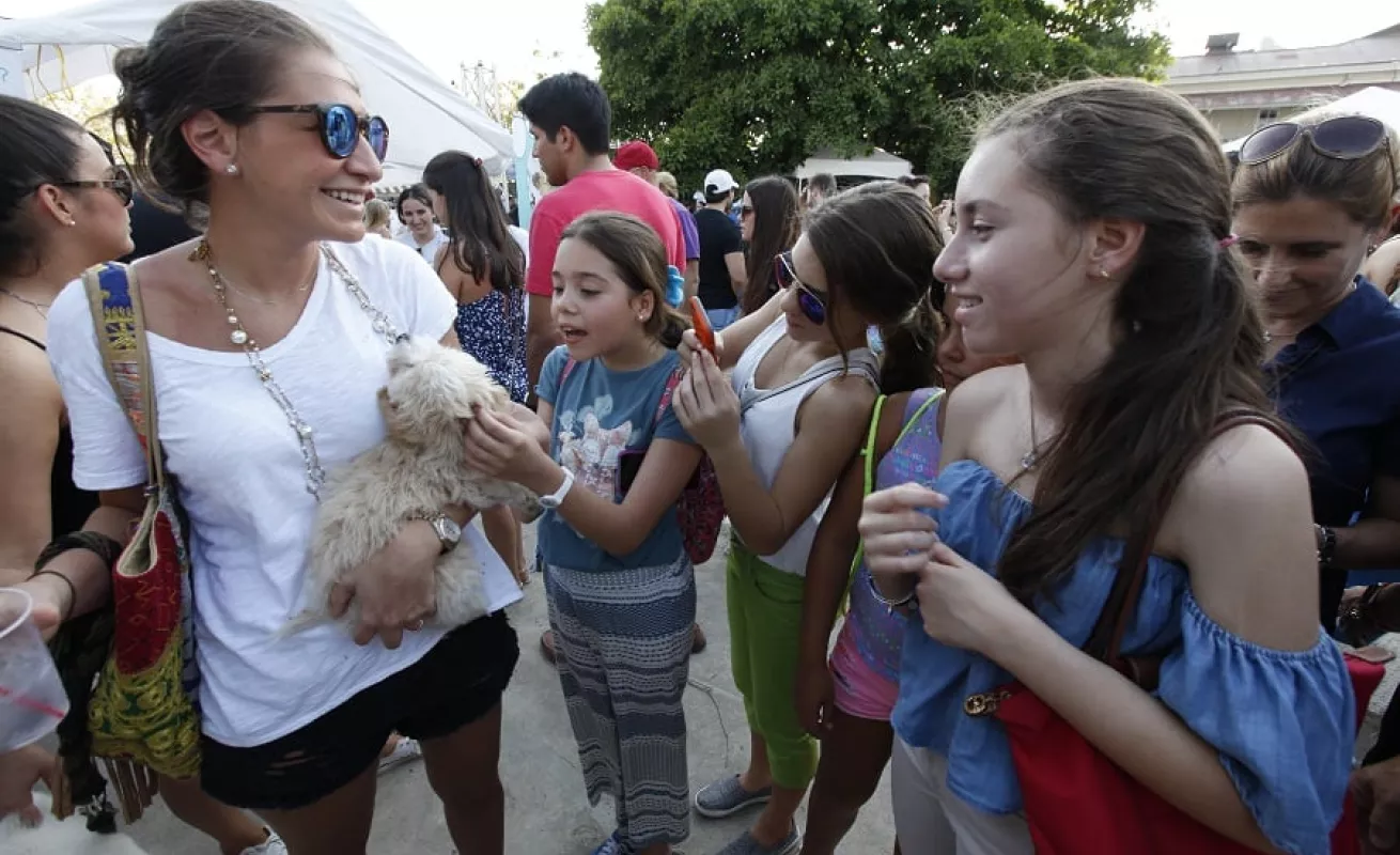 Mercado Paseo Urbano 