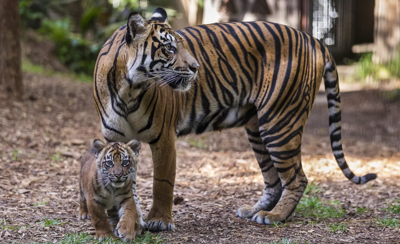 Hermosas imágenes del mundo