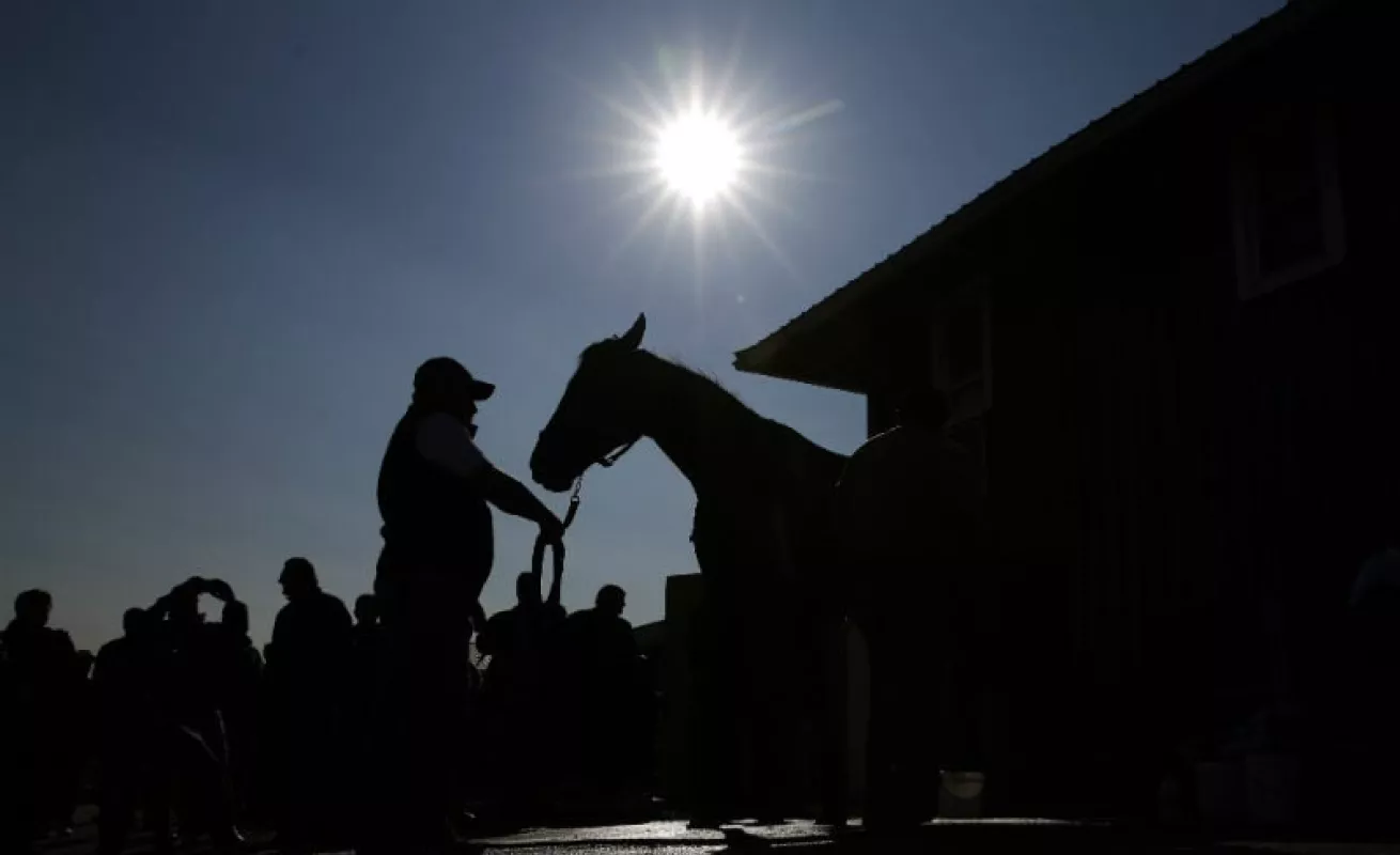 Impresionantes imágenes del mundo natural y deportivo
