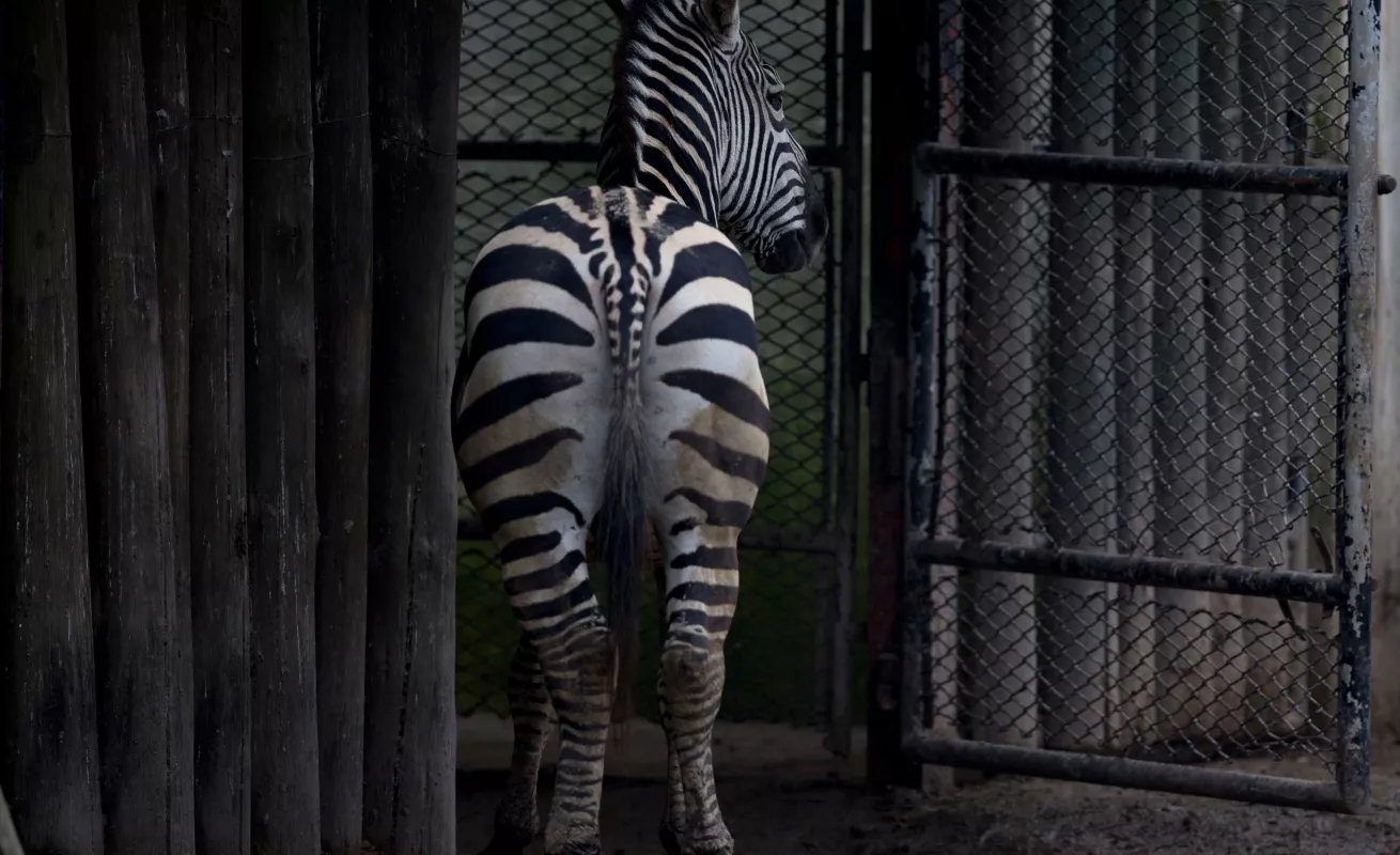 Un cierre, un adiós 