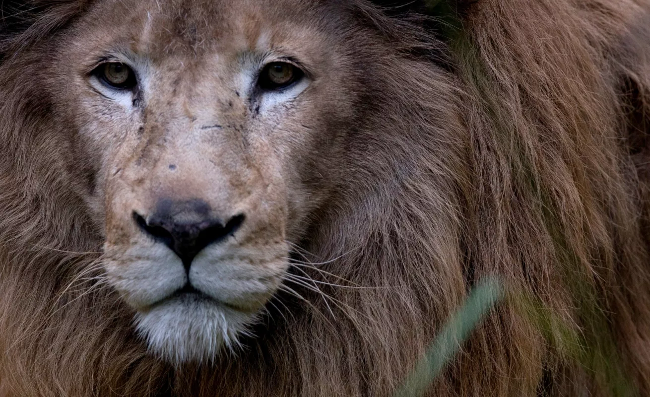 Un cierre, un adiós 