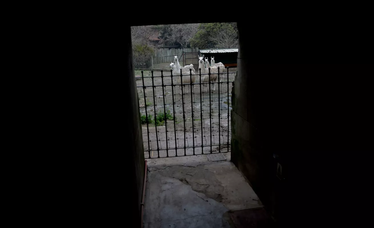 Un cierre, un adiós 