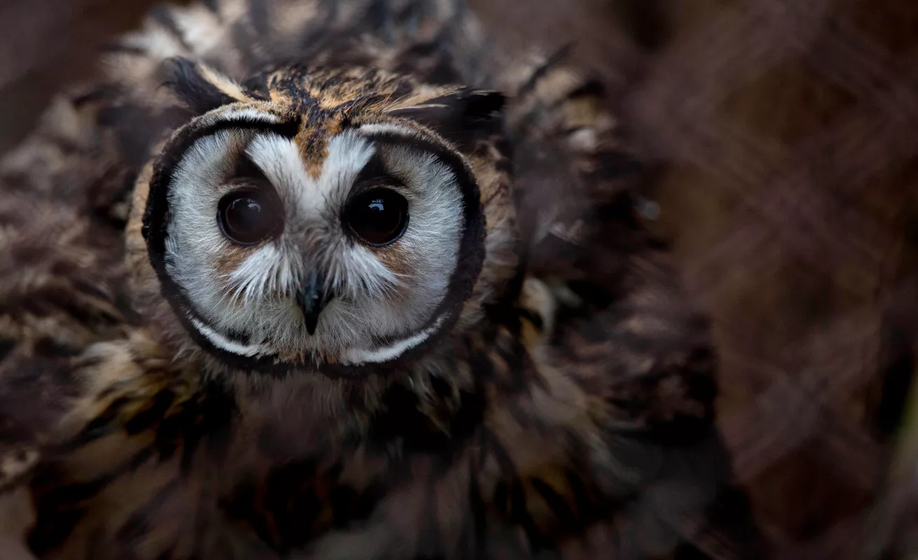 Un cierre, un adiós 