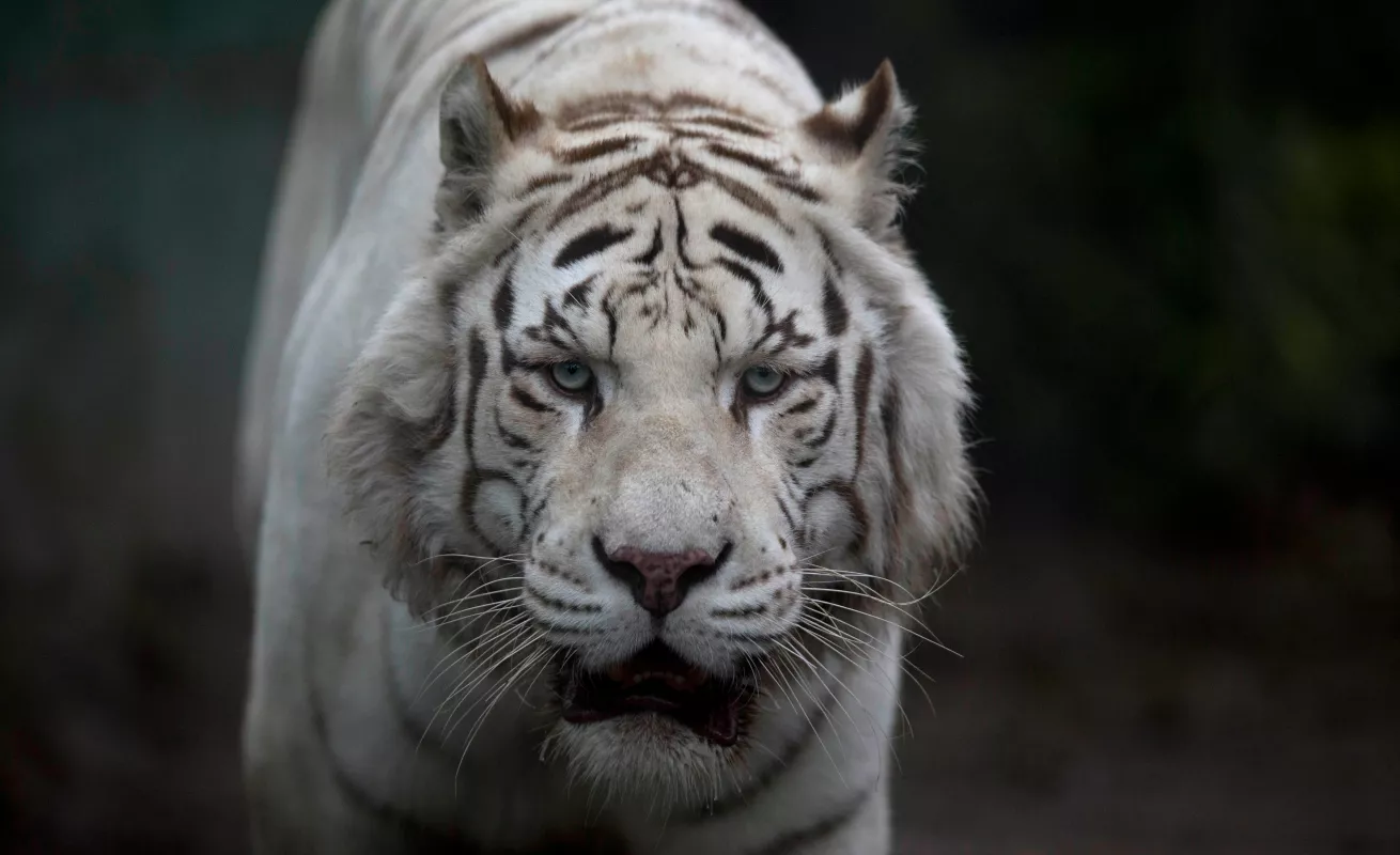 Un cierre, un adiós 